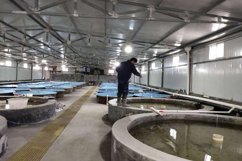 陕西省抢抓春季渔业生产机遇 全力推进畜牧渔业饲料供应保障